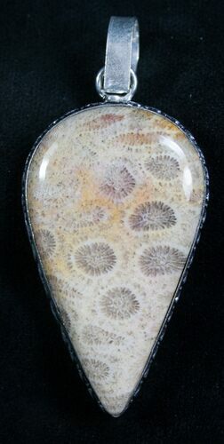 Beautiful Fossil Coral Pendant - Million Years Old #7915